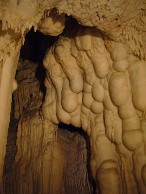 0191_Toirano_Stalactites+mites