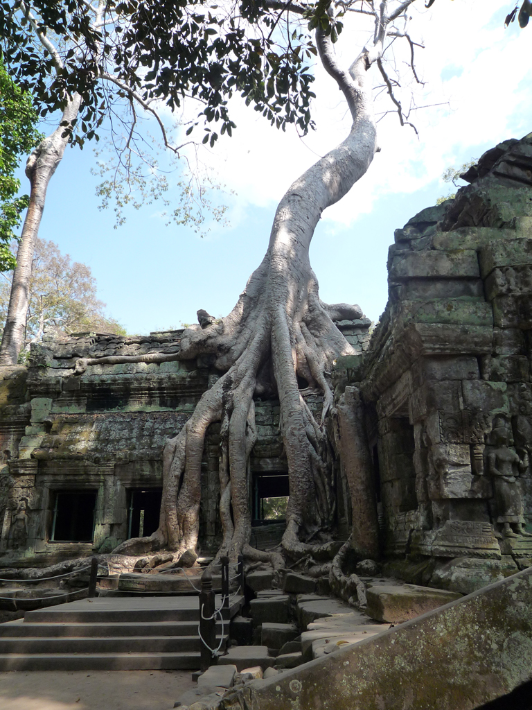 302_Ta_Prohm