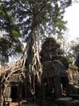 305_Ta_Prohm